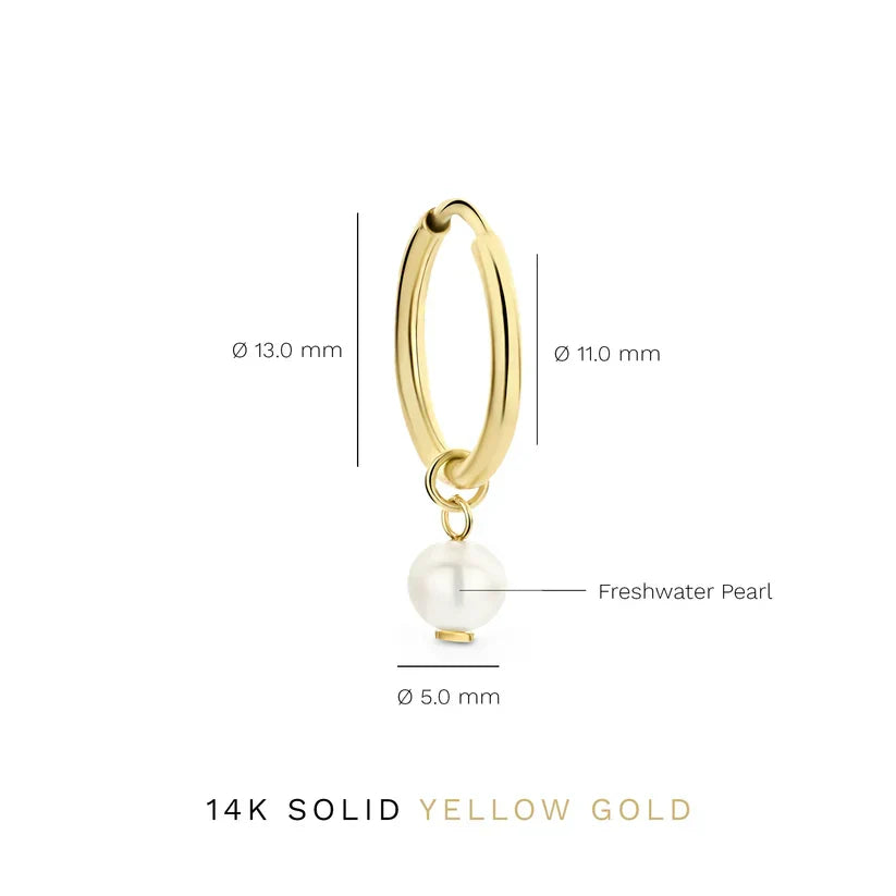 Aretes Delia Crest | Oro